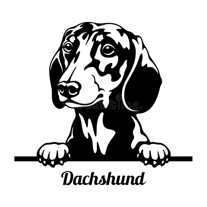 Detail Dachshund Clipart Black And White Nomer 7