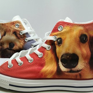 Detail Dachshund Converse Nomer 16