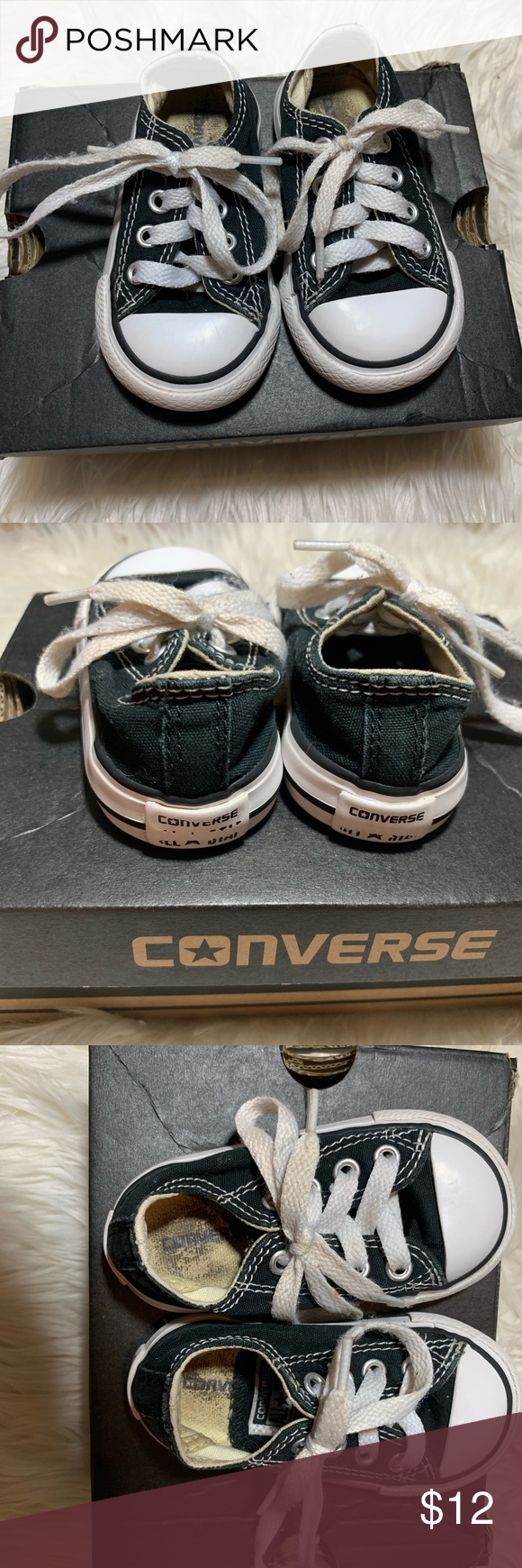Detail Dachshund Converse Shoes Nomer 44