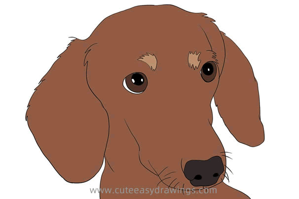 Detail Dachshund Drawings Nomer 51