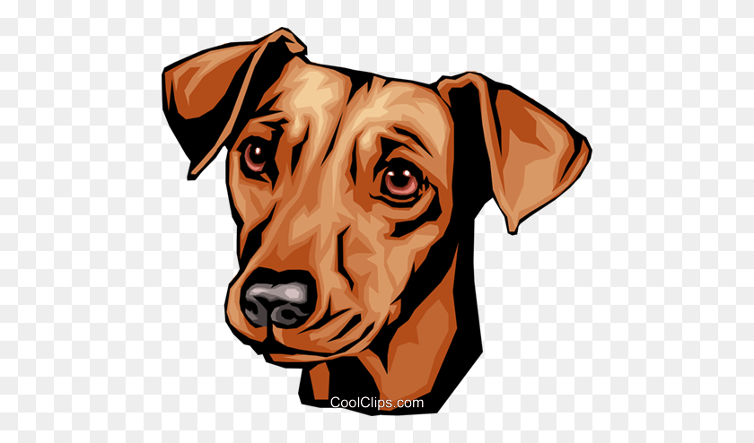 Detail Dachshund Face Clipart Nomer 24