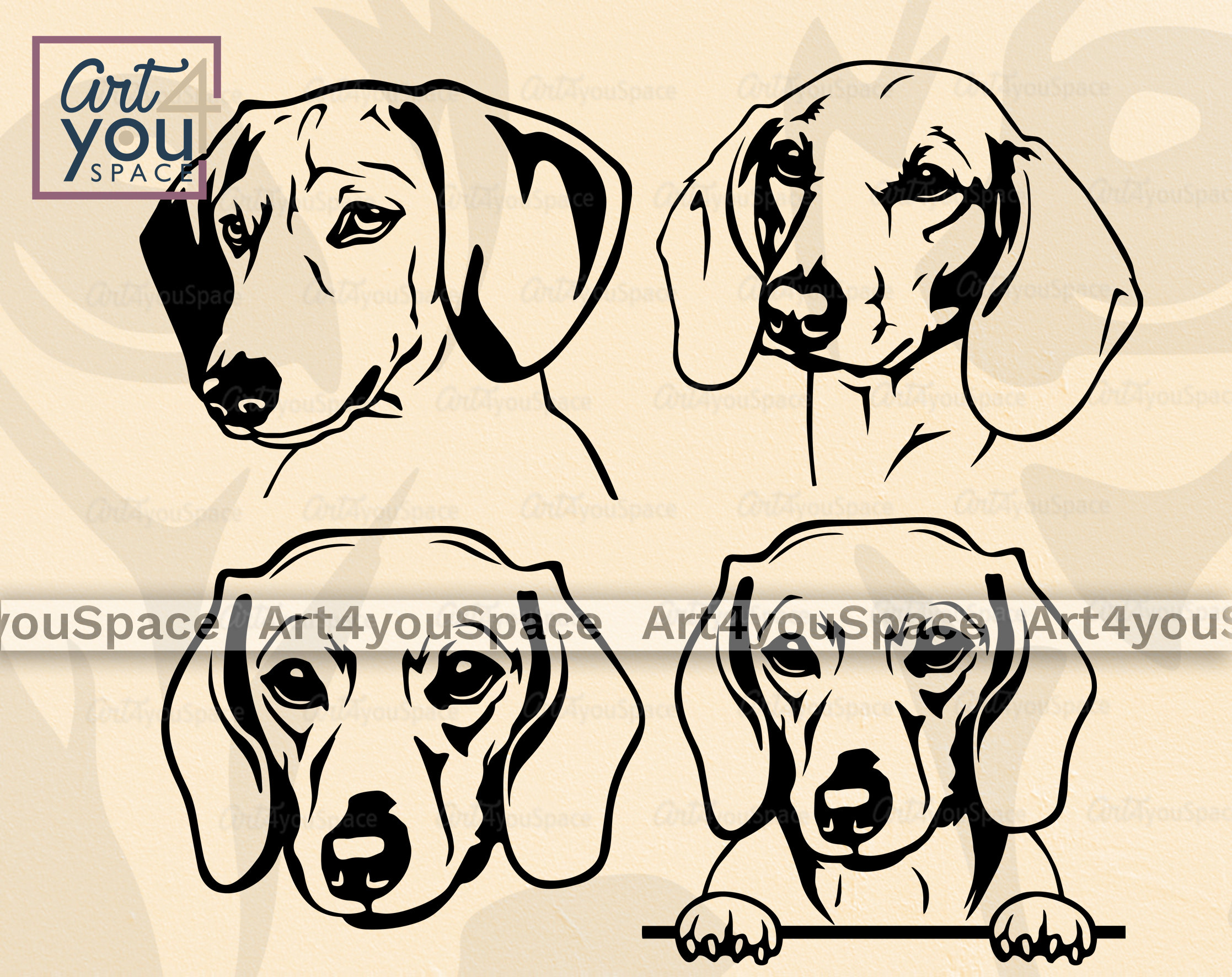 Detail Dachshund Face Clipart Nomer 25