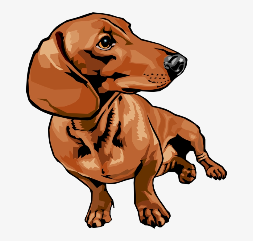 Detail Dachshund Face Clipart Nomer 31