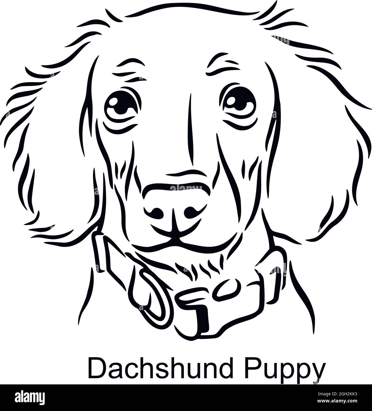 Detail Dachshund Face Clipart Nomer 48