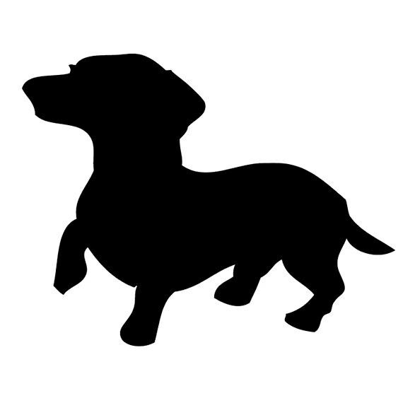 Detail Dachshund Face Clipart Nomer 50