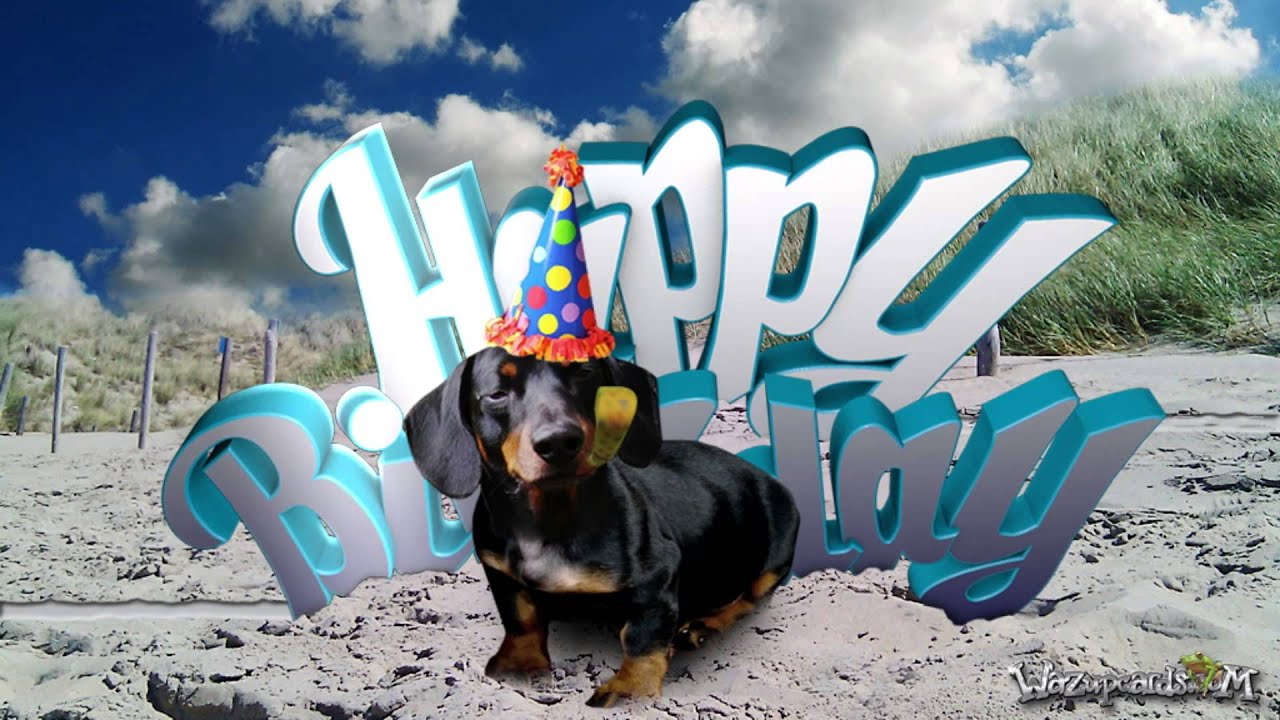 Detail Dachshund Happy Birthday Images Nomer 25