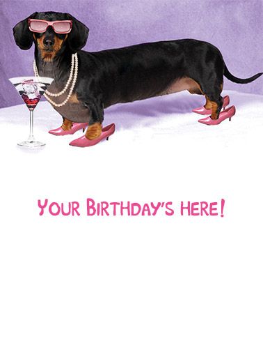 Detail Dachshund Happy Birthday Images Nomer 45