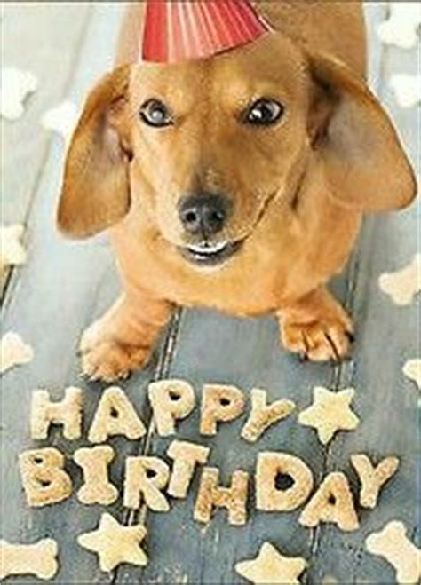 Detail Dachshund Happy Birthday Images Nomer 52