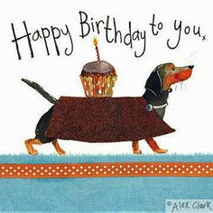 Detail Dachshund Happy Birthday Meme Nomer 16