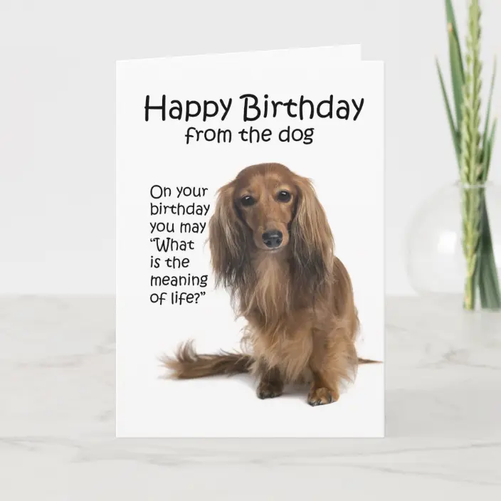 Detail Dachshund Happy Birthday Meme Nomer 26