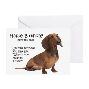 Detail Dachshund Happy Birthday Meme Nomer 46