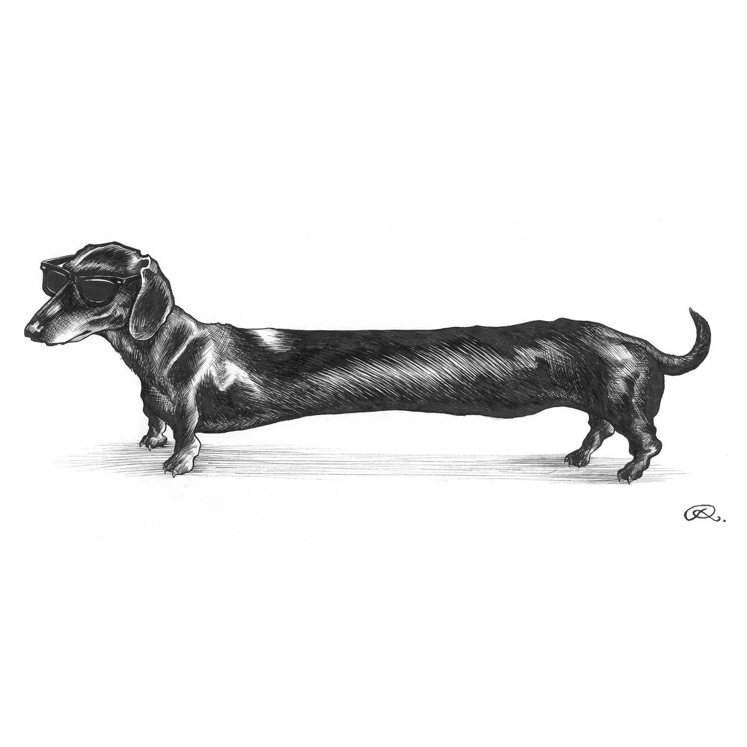 Detail Dachshund Hot Dog Nomer 12