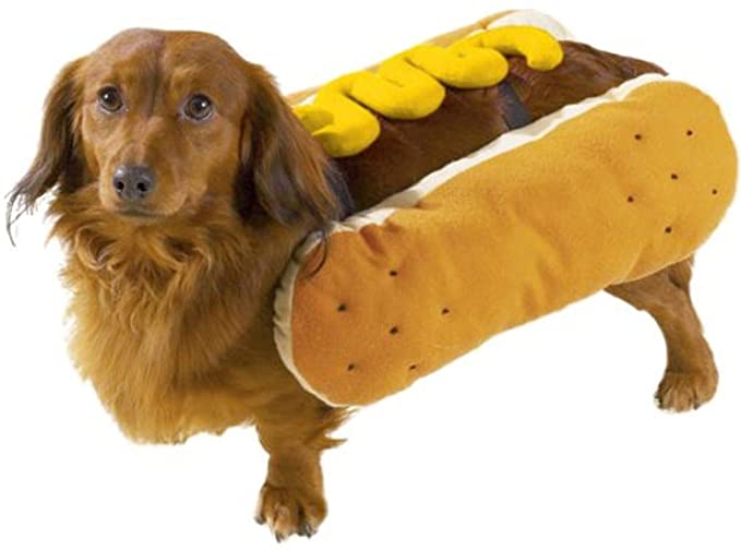 Detail Dachshund Hot Dog Nomer 9