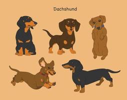 Detail Dachshund Images Free Nomer 26