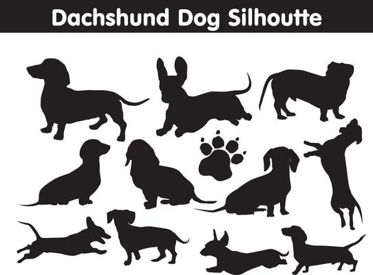 Detail Dachshund Images Free Nomer 34