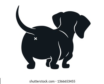 Detail Dachshund Images Free Nomer 52