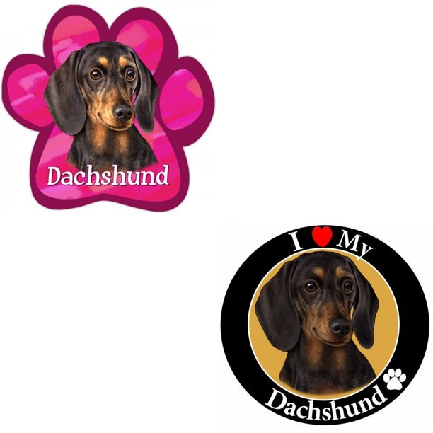 Detail Dachshund Magnets Nomer 25