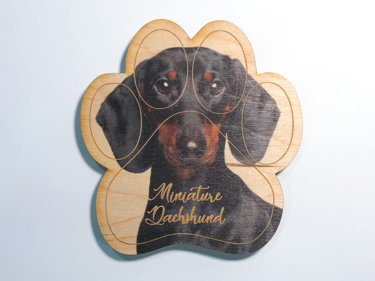 Detail Dachshund Magnets Nomer 10