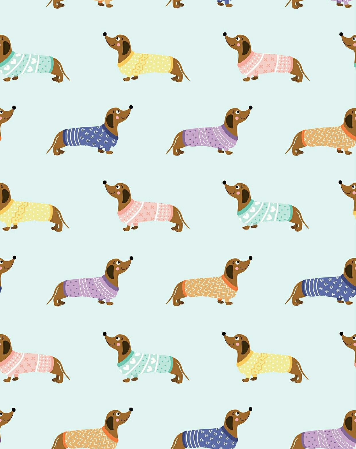 Detail Dachshund Phone Wallpaper Nomer 13