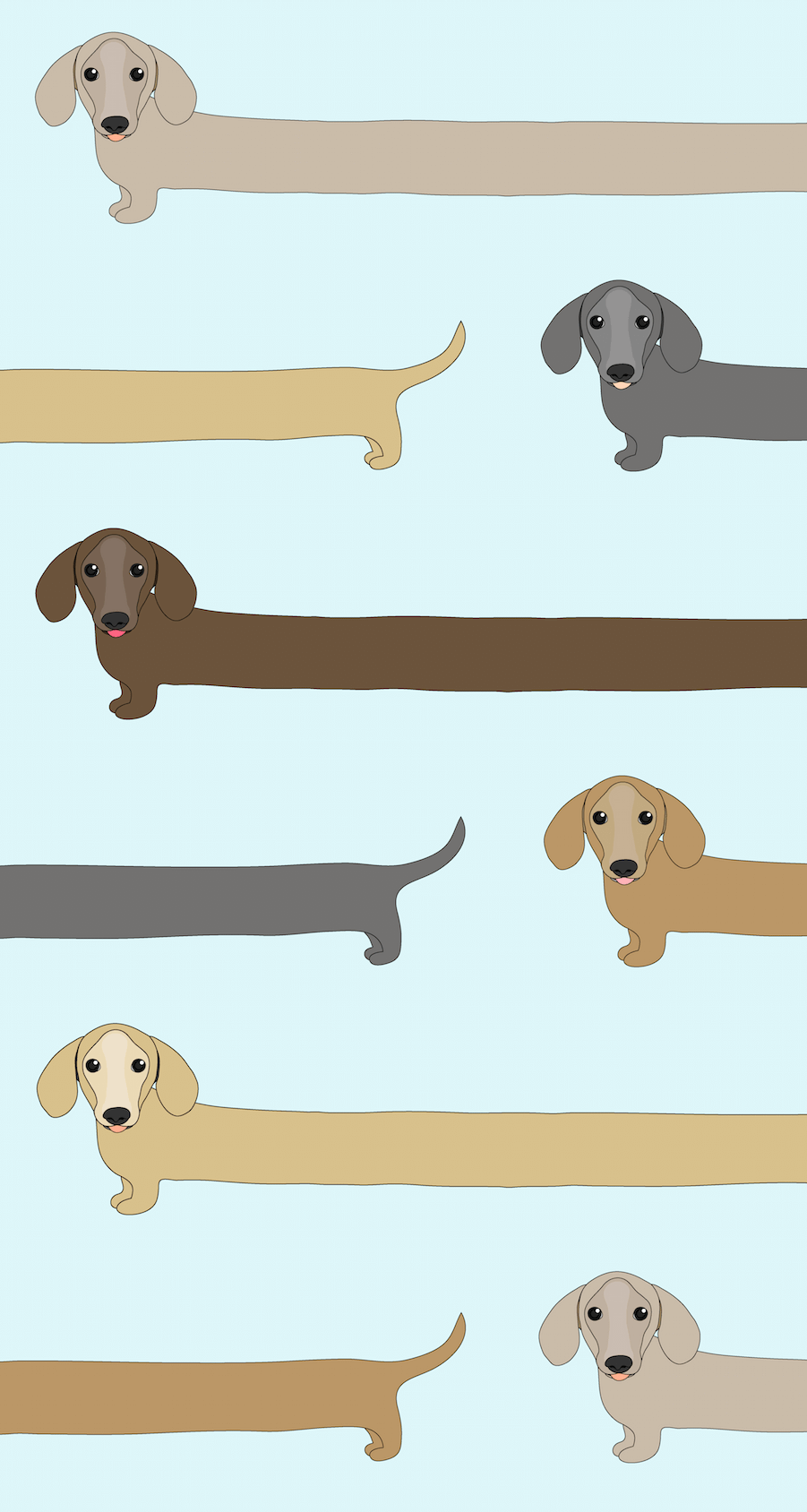 Detail Dachshund Phone Wallpaper Nomer 10