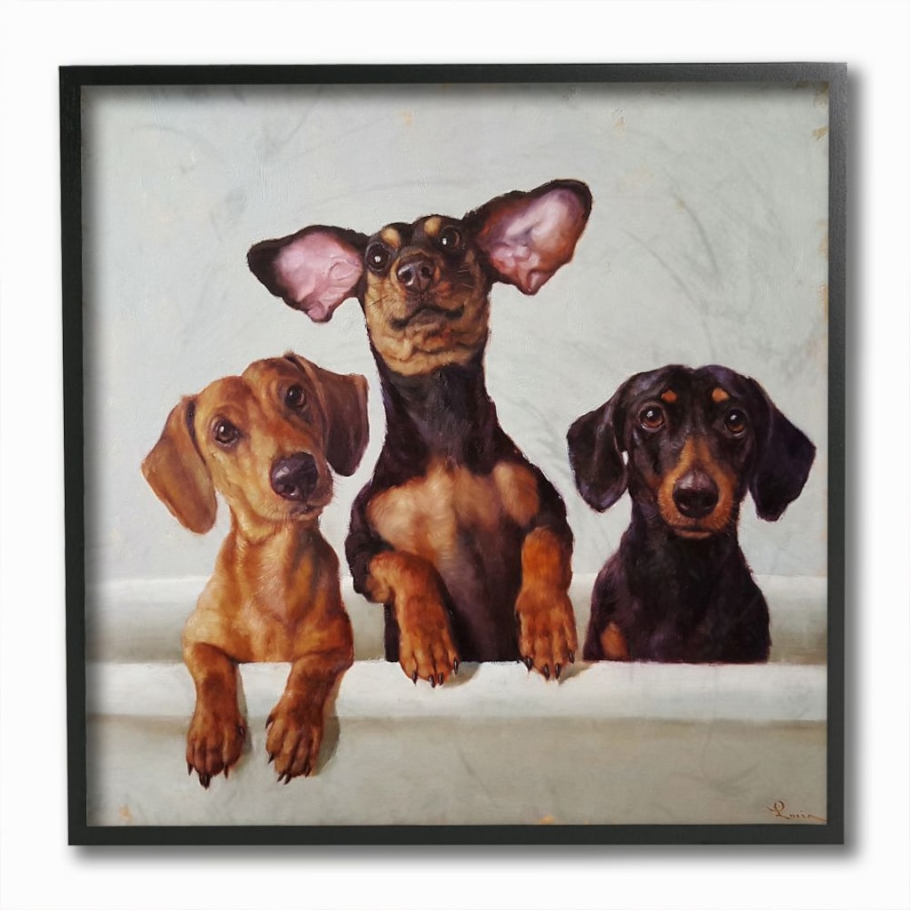 Detail Dachshund Photo Frames Nomer 52