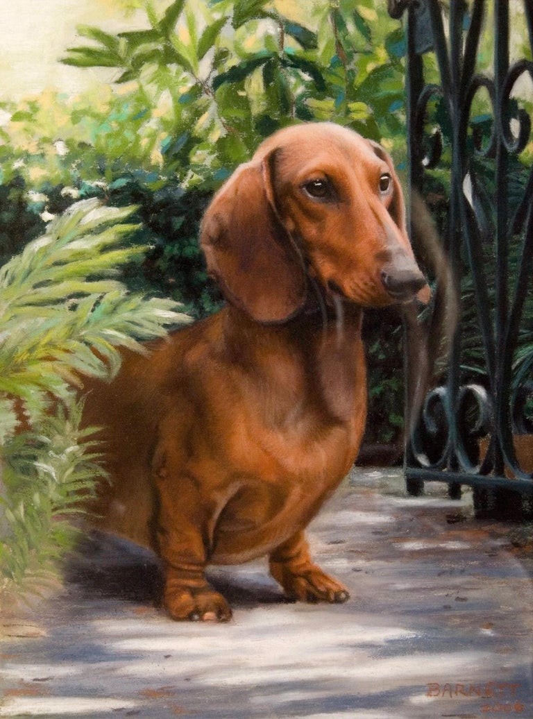 Detail Dachshund Photo Frames Nomer 55