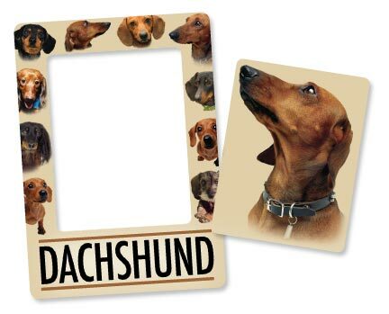 Detail Dachshund Picture Frame Nomer 5