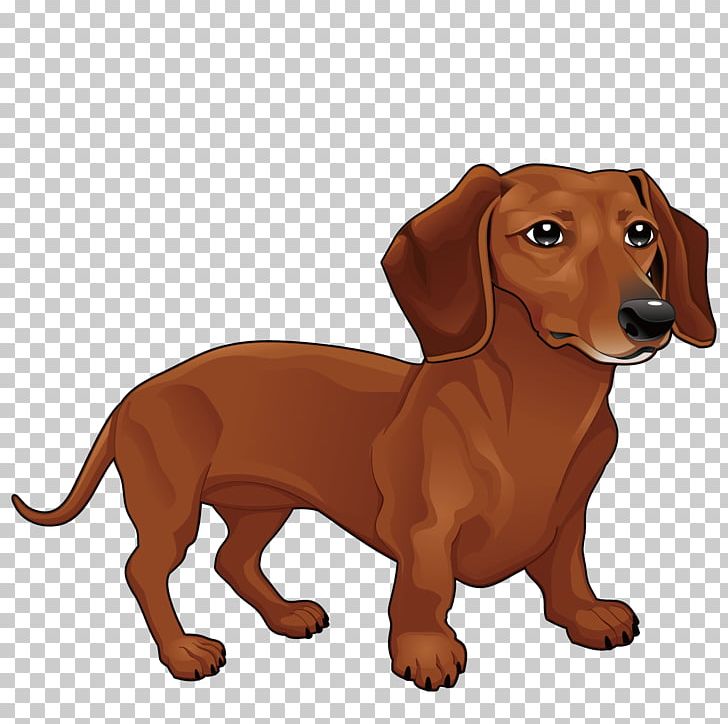 Detail Dachshund Png Nomer 29