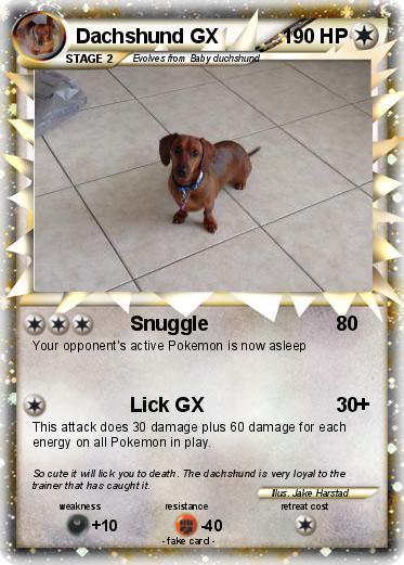 Detail Dachshund Pokemon Nomer 12