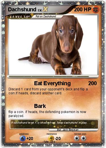 Detail Dachshund Pokemon Nomer 3