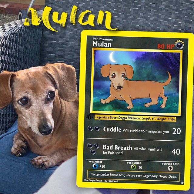 Detail Dachshund Pokemon Nomer 27