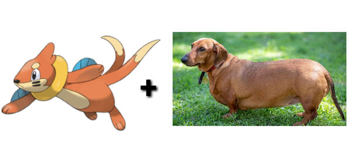 Detail Dachshund Pokemon Nomer 10