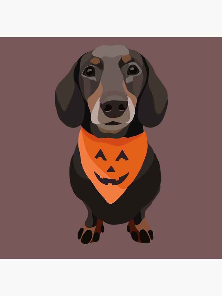 Detail Dachshund Pumpkin Nomer 41