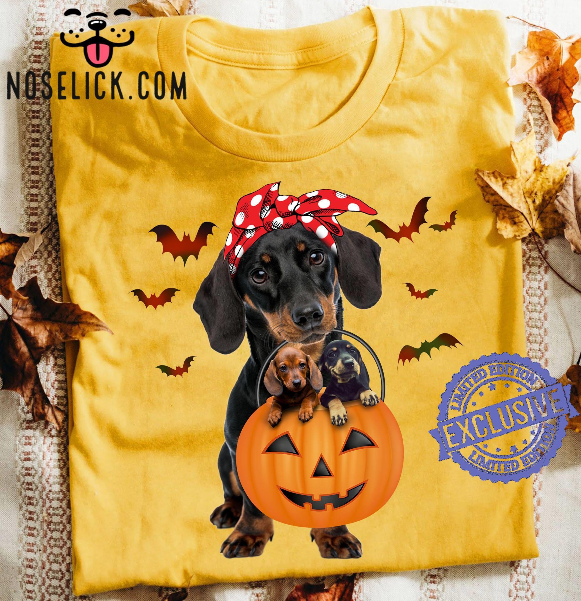 Detail Dachshund Pumpkin Nomer 58