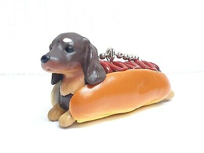Detail Dachshund Puppy In Hotdog Bun Nomer 15