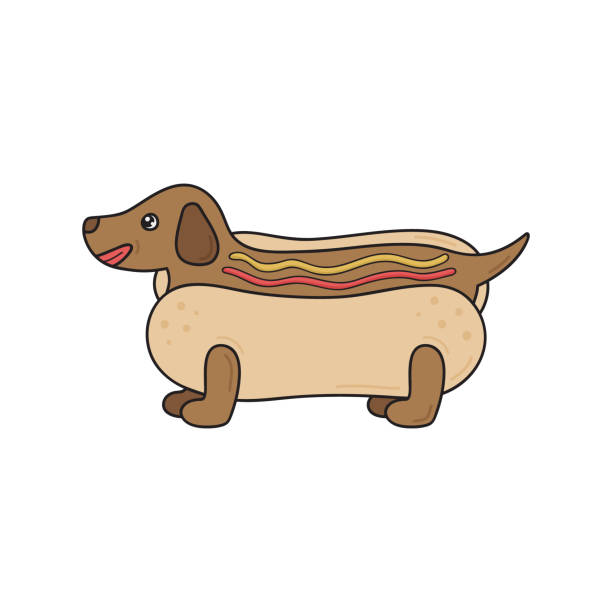 Detail Dachshund Puppy In Hotdog Bun Nomer 23