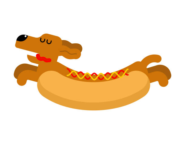 Detail Dachshund Puppy In Hotdog Bun Nomer 30