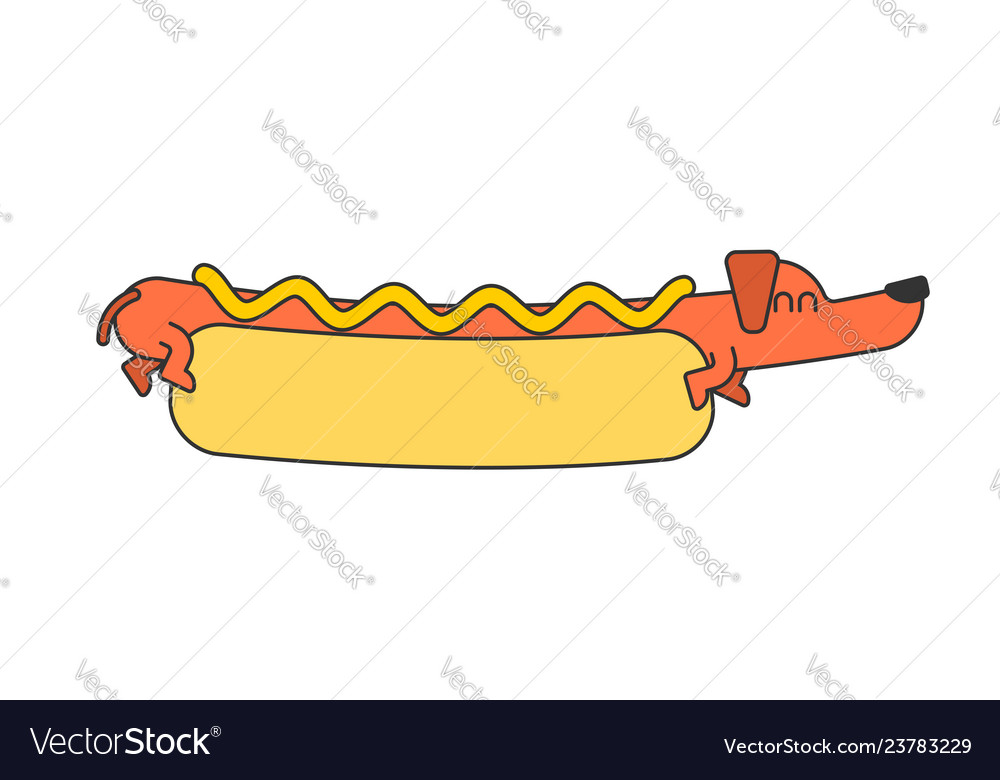 Detail Dachshund Puppy In Hotdog Bun Nomer 41