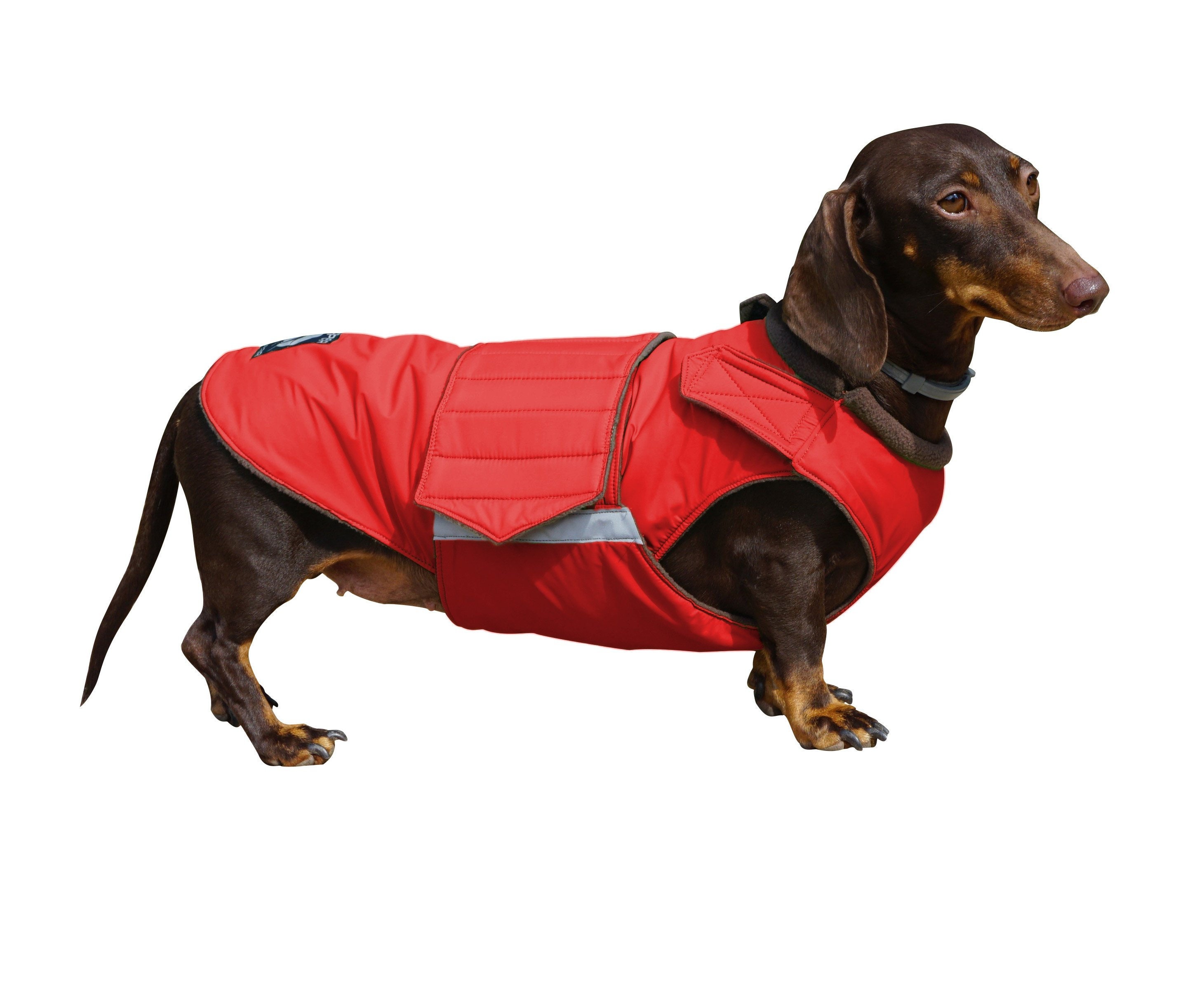 Detail Dachshund Rain Coat Nomer 13