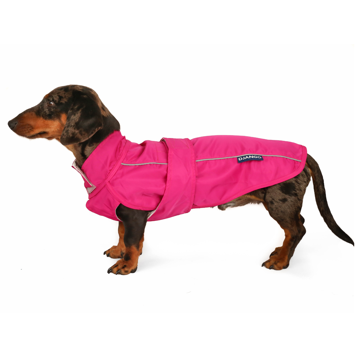 Detail Dachshund Rain Coat Nomer 19