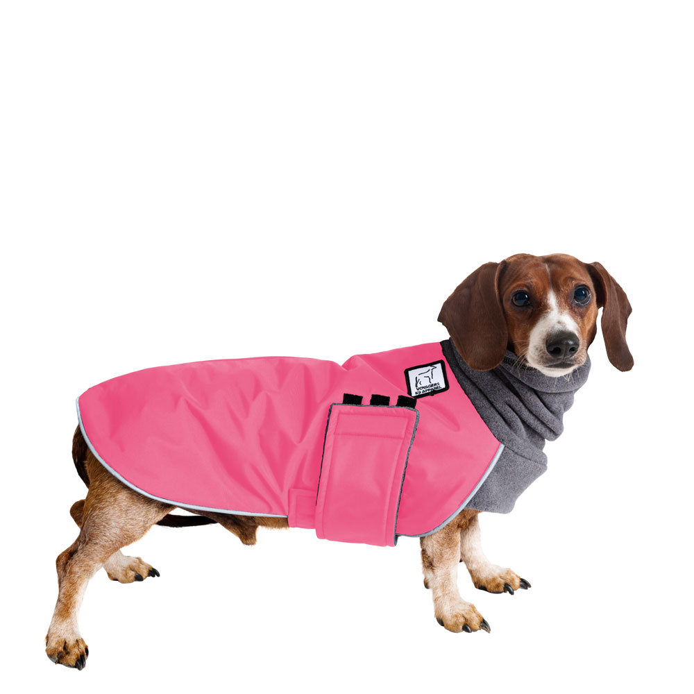 Detail Dachshund Rain Coat Nomer 24