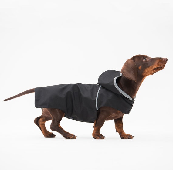 Detail Dachshund Rain Coat Nomer 50