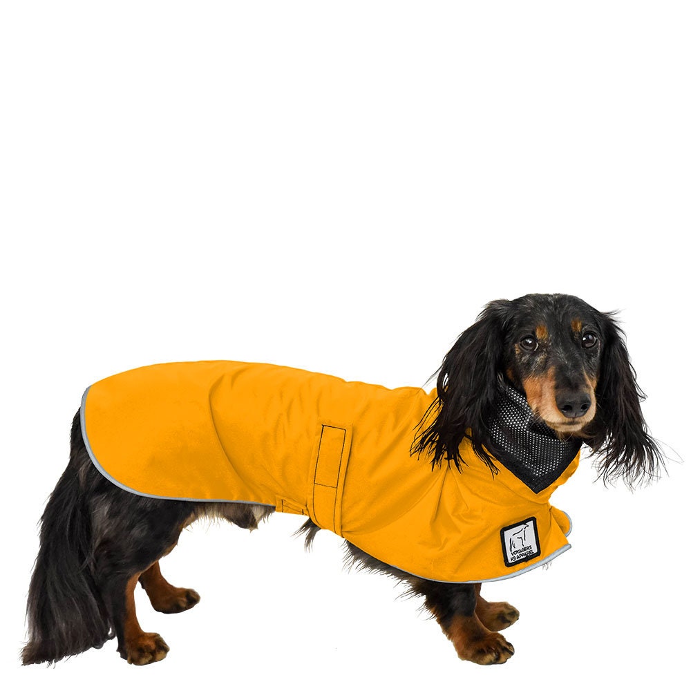 Detail Dachshund Rain Coat Nomer 7