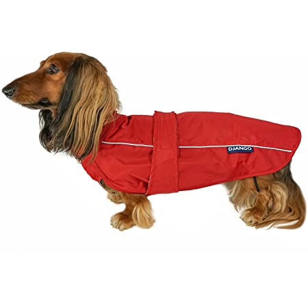 Detail Dachshund Raincoat Nomer 16