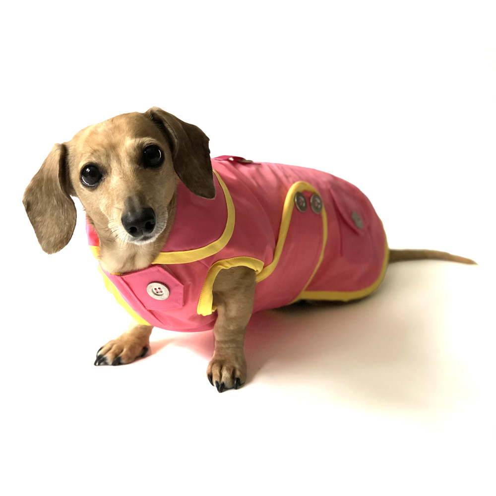 Detail Dachshund Raincoat Nomer 29