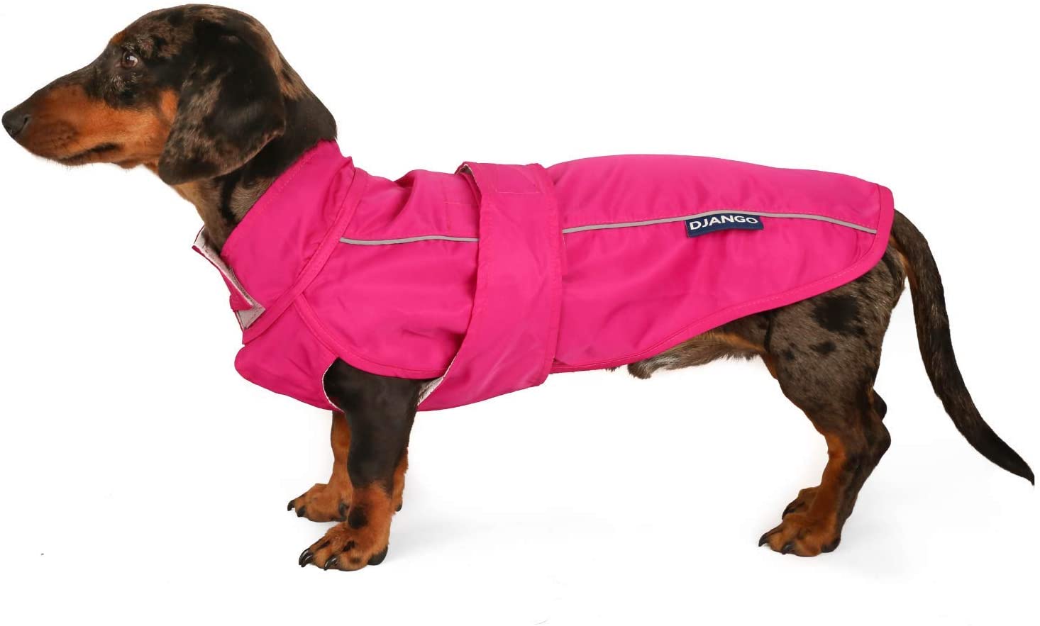 Detail Dachshund Raincoat Nomer 34