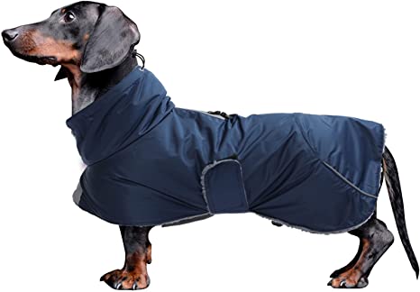 Detail Dachshund Raincoat Nomer 44