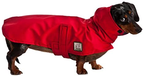 Detail Dachshund Raincoat Nomer 48