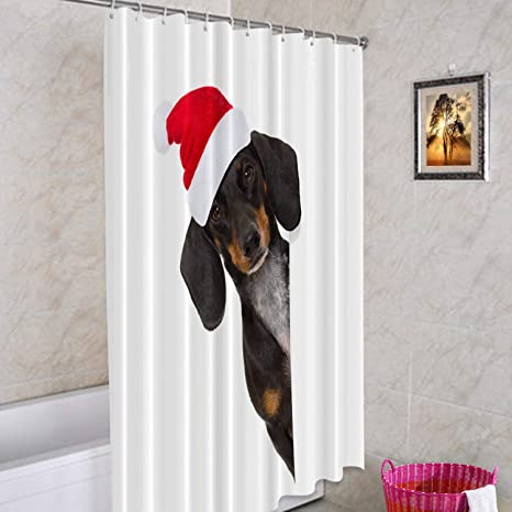 Detail Dachshund Shower Curtains Nomer 35