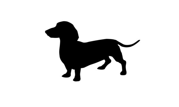 Detail Dachshund Silhouette Printable Nomer 4